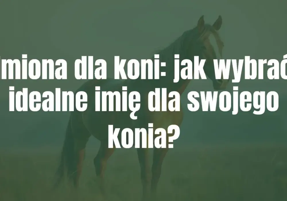 Jak nazwać konia? Zasady PZHK, 190+ imion i kreatywne pomysły
