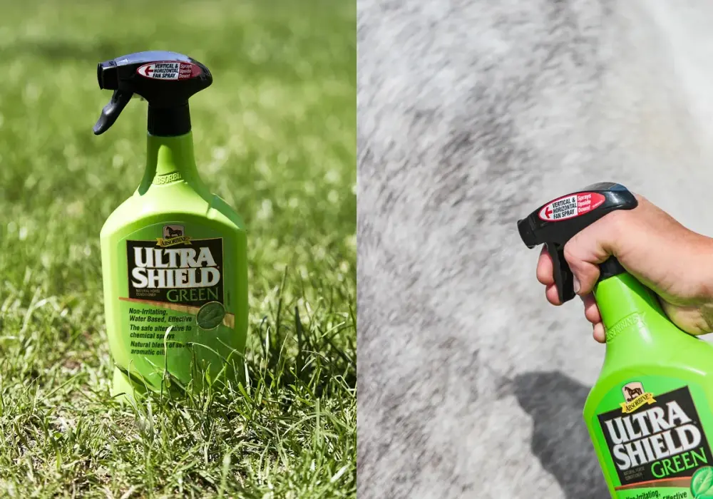 Absorbine dla koni: Jak wybrać najlepsze wsparcie dla Twojego wierzchowca?