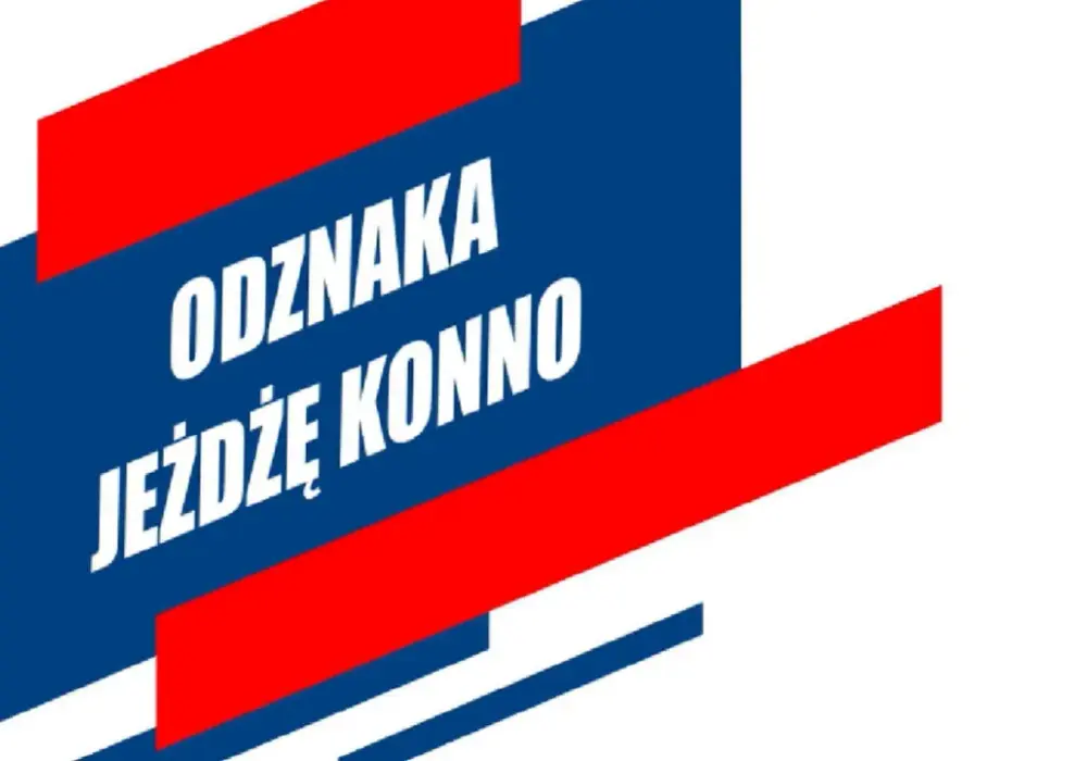 WZJ: Licencje, zawody, odznaki Kompletny przewodnik