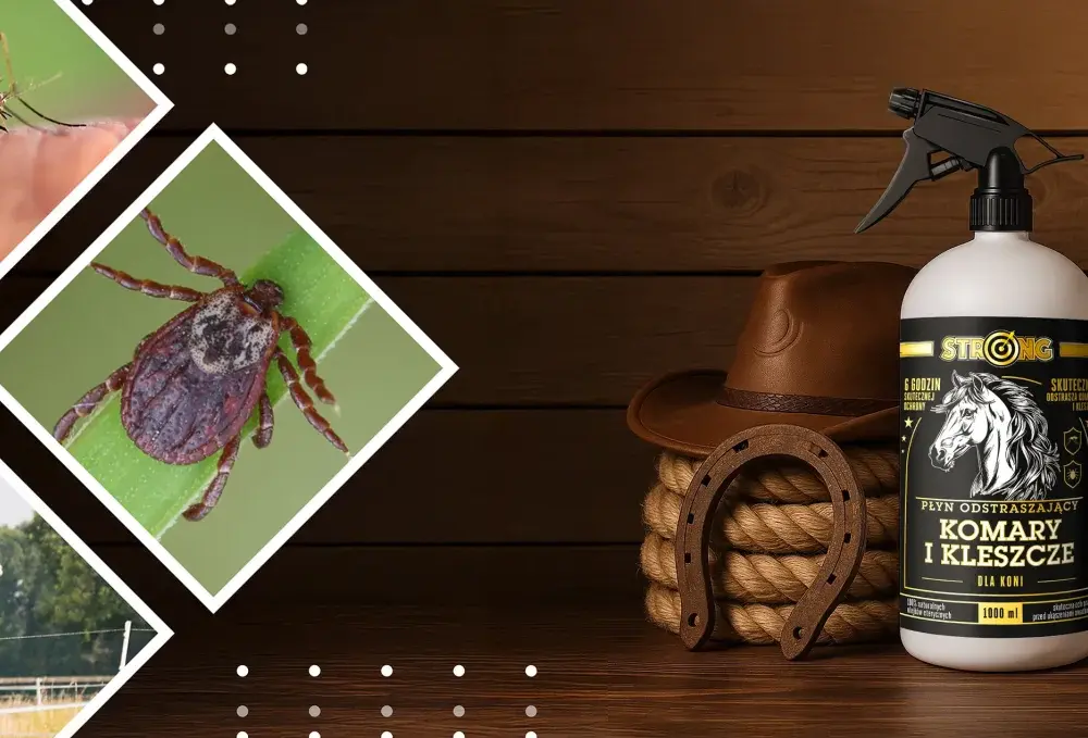 Spray na owady dla koni: Skuteczna ochrona i komfort. Poradnik