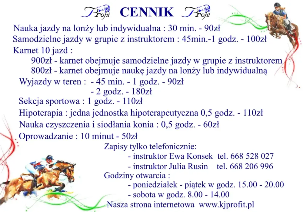 Klub Jeździecki Profit Orzesze: Oferta, cennik, kontakt poznaj nas!