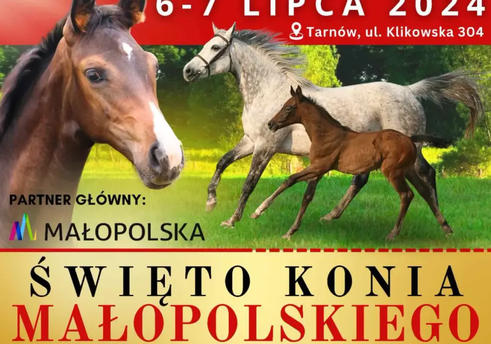 Klikowa stadnina - historia, rasy koni i unikalne doświadczenia