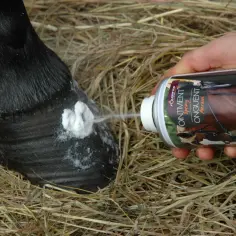 Aplikacja preparatu na kopyto konia. Dłoń trzyma puszkę z produktem, który rozpyla białą piankę. Dziegieć do kopyt w sprayu.