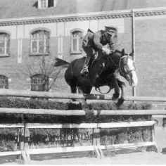 Jeździectwo na olimpiadzie: Historia, konkurencje i polskie osiągnięcia