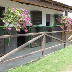 Urocze kwiaty zdobią stajnie w walor klub jeździecki. Drewniane płotki i zielone detale dodają uroku.