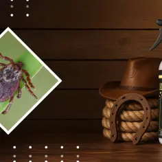 Spray na owady dla koni. Skutecznie odstrasza komary i kleszcze, zapewniając ochronę.
