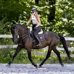 Jeździec w kasku i białej bluzce dosiada ciemnego konia na piaskowym podłożu. Trening w klubie jazdy konnej Fabrex.