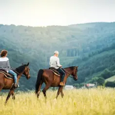 Stadnina koni Krynica Zdrój - najlepsze miejsca na jazdę konną