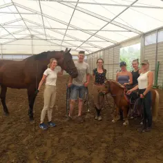 Grupa ludzi i dwa konie, w tym kucyk, podczas kursu instruktora jazdy konnej.
