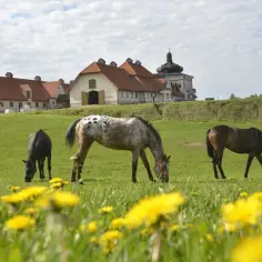 Najlepsze hotele ze stadniną koni w Mazurach dla całej rodziny