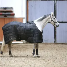 Srokaty koń w czarnej, pikowanej derce przeciwdeszczowej stoi na piaskowej ujeżdżalni.