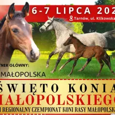 Klikowa stadnina - historia, rasy koni i unikalne doświadczenia