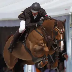 Grand Prix jeździectwo: Najważniejsze wydarzenia i wyniki w Polsce