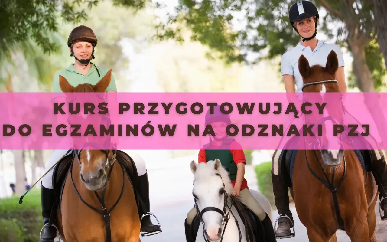 Trzy osoby na koniach, przygotowujące się do egzaminów na odznaki PZJ. Kursy i terminy.