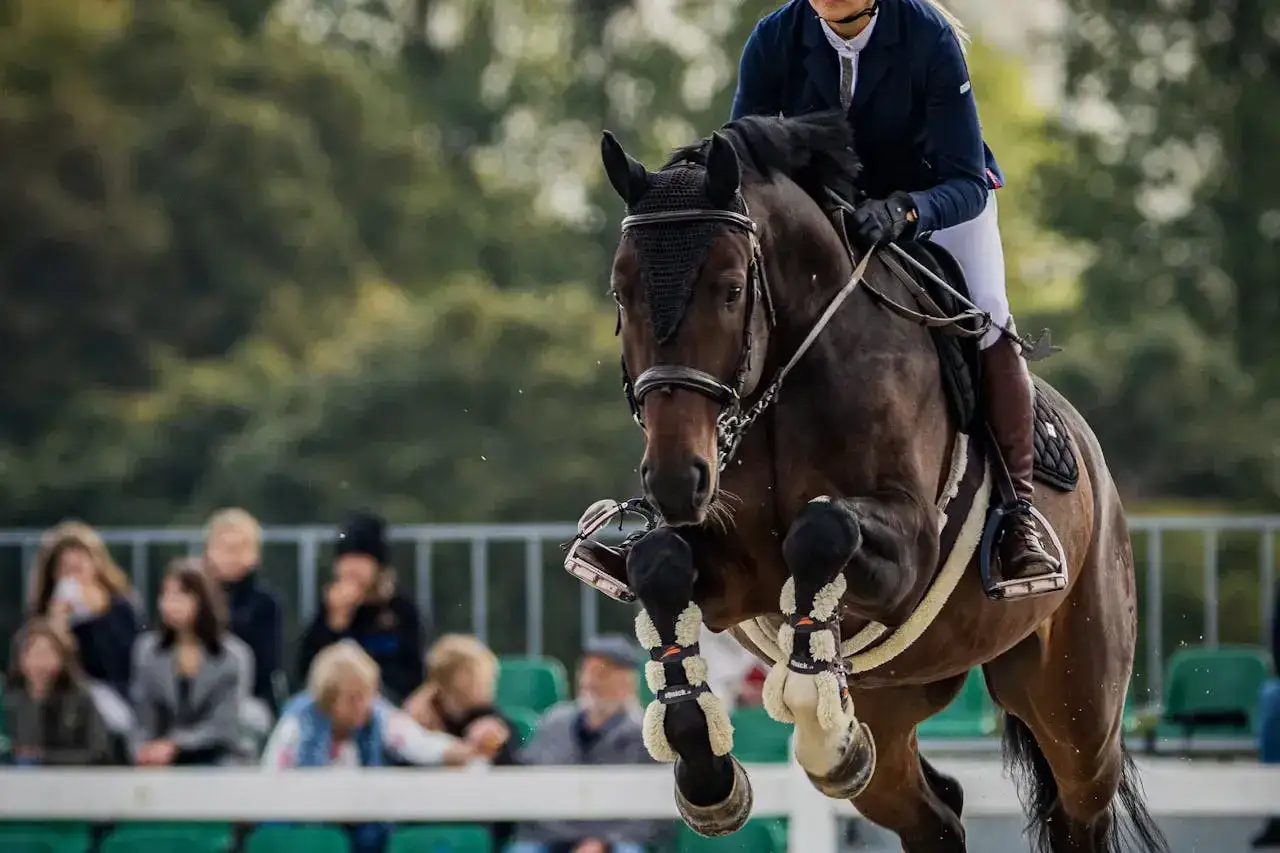 Zwinny polski koń sportowy w skoku przez przeszkodę, z jeźdźcem w granatowej marynarce.
