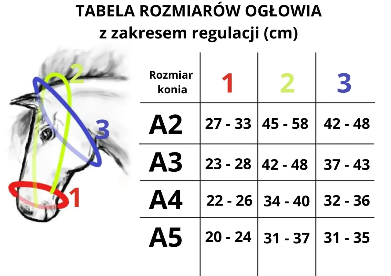 Tabela rozmiarów kantarów dla koni z zaznaczonymi obwodami głowy.