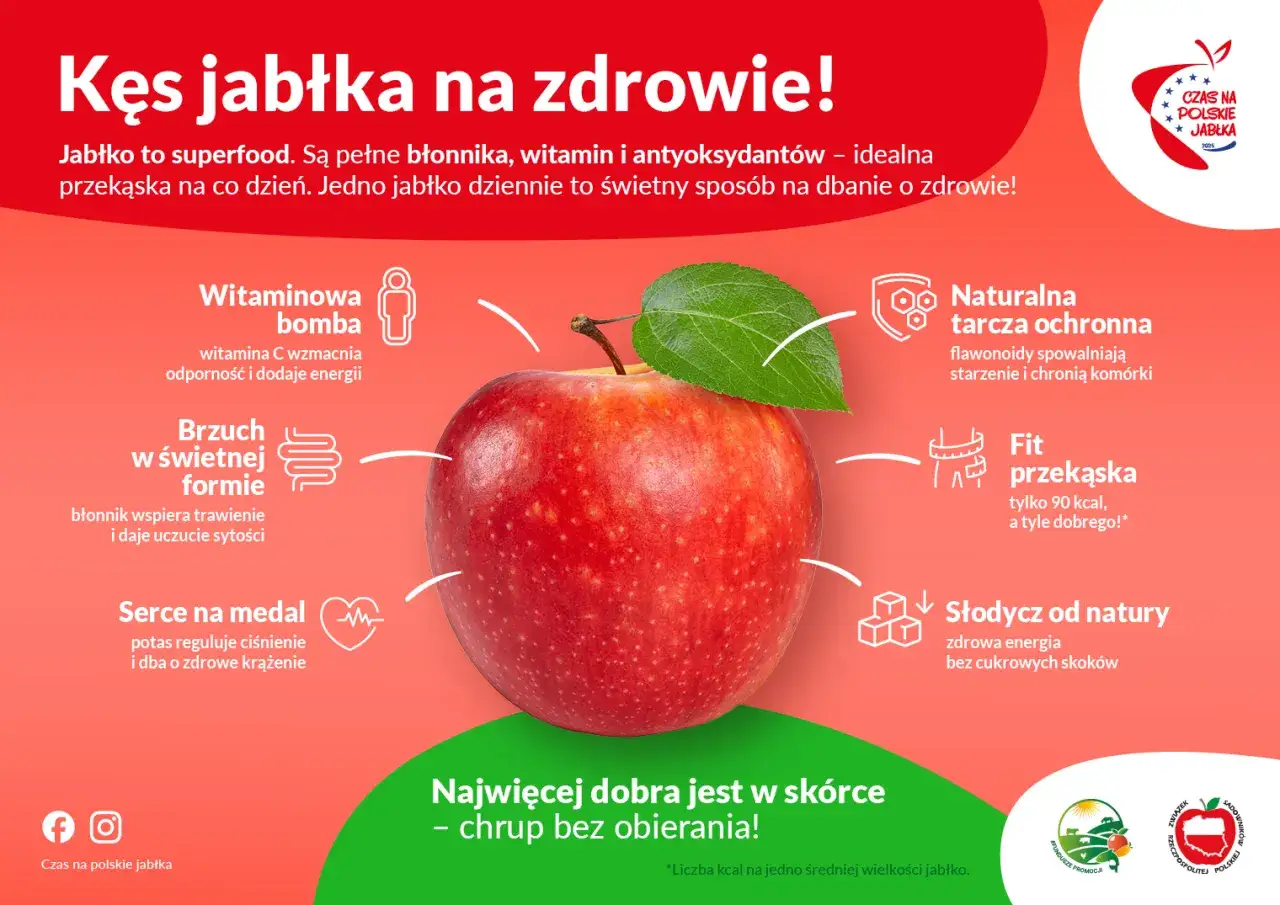 Jabłka to superfood! Czy konie mogą jeść jabłka? Tak, to zdrowa przekąska pełna witamin i błonnika.