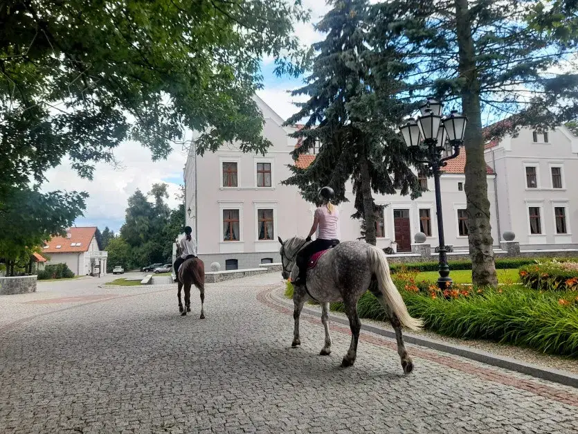 Zdjęcie Najlepsze stadniny koni w Żywcu - gdzie znaleźć idealne miejsce?