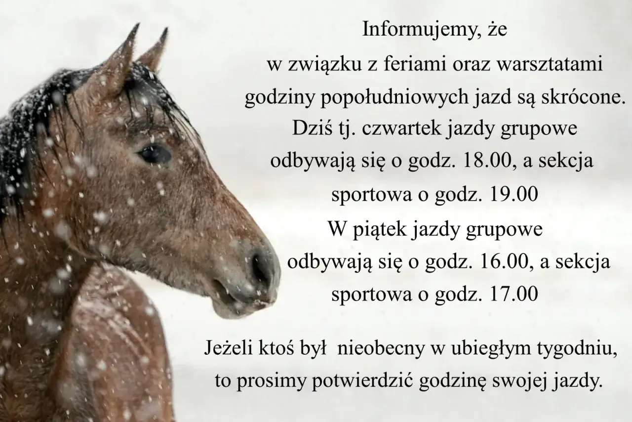 Koń w śniegu. Informacja dla klubu jeździeckiego Profit o zmianach godzin jazd w ferie.
