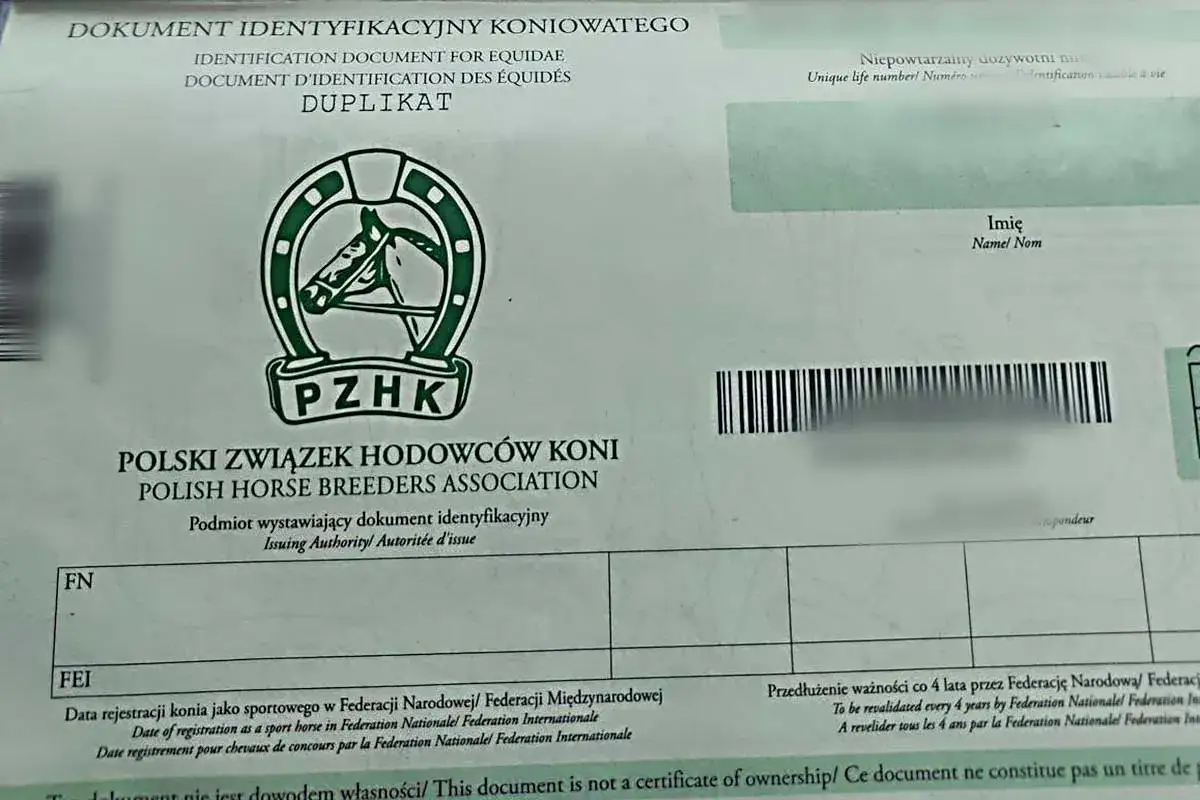 Dokument identyfikacyjny konia z logo PZHK. Widoczny jest numer identyfikacyjny, który jest odpowiednikiem chipu u konia.