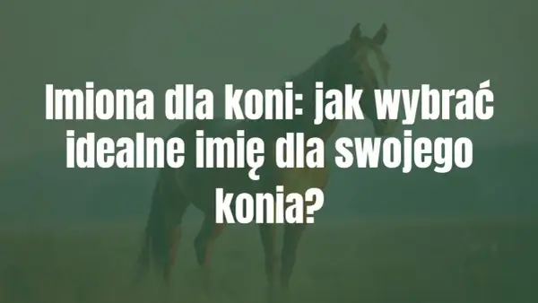 Jak nazwać konia? Zasady PZHK, 190+ imion i kreatywne pomysły