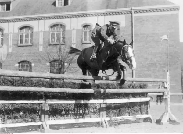 Jeździectwo na olimpiadzie: Historia, konkurencje i polskie osiągnięcia