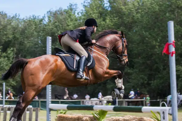 Jak wybrać buty do jazdy konnej, które naprawdę pracują z jeźdźcem