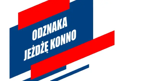 WZJ: Licencje, zawody, odznaki Kompletny przewodnik