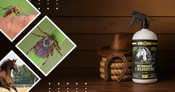 Spray na owady dla koni: Skuteczna ochrona i komfort. Poradnik