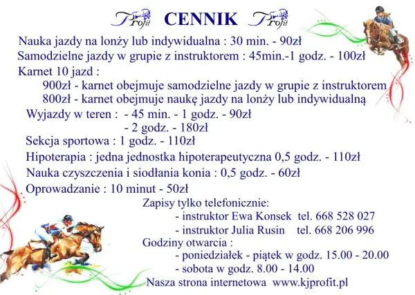 Klub Jeździecki Profit Orzesze: Oferta, cennik, kontakt poznaj nas!