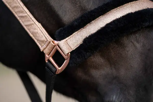 Pony, Cob, Full? Dobierz kantar idealnie dla komfortu konia